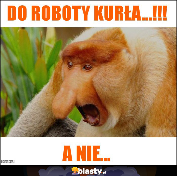 do roboty kurła...!!!