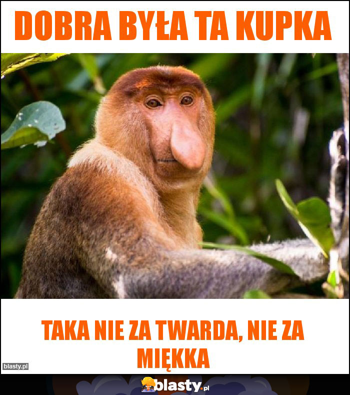 Dobra była ta kupka