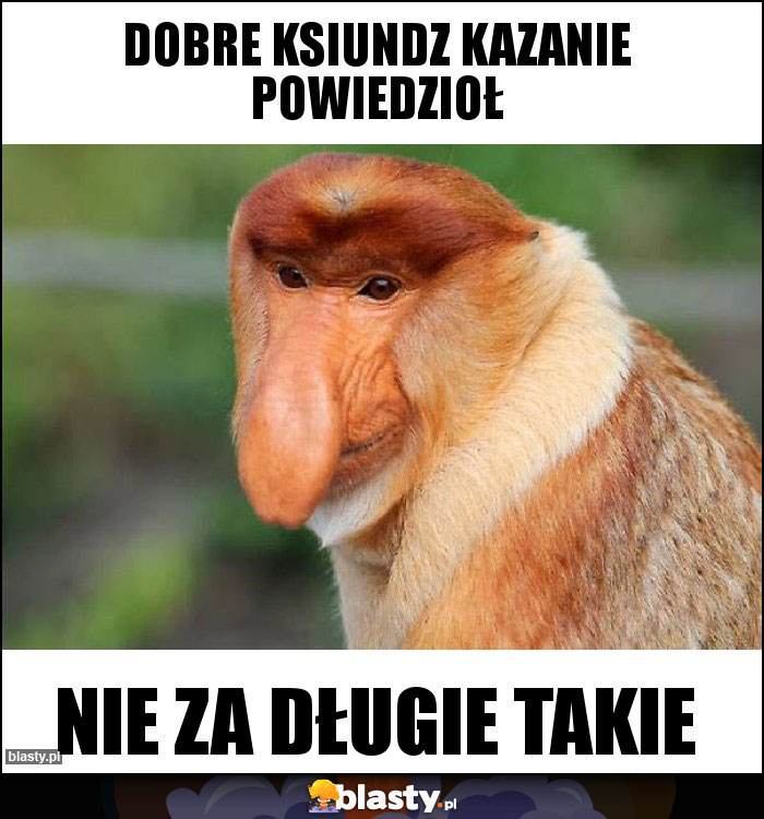 Dobre ksiundz kazanie powiedzioł