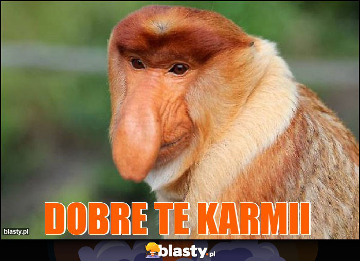 Dobre te Karmii