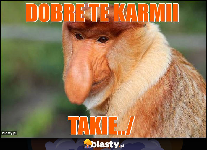 Dobre te Karmii