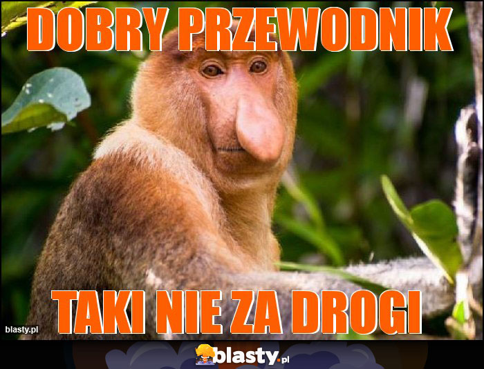 Dobry przewodnik