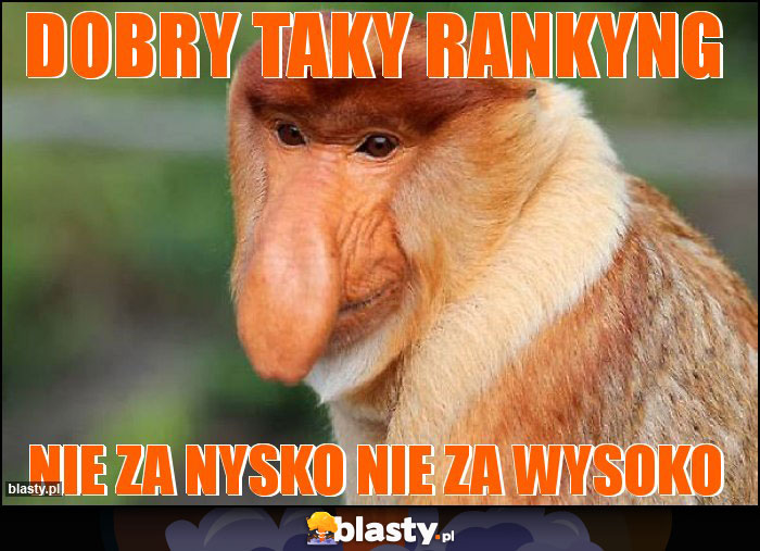 Dobry taky rankyng