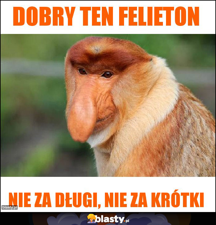 Dobry ten felieton