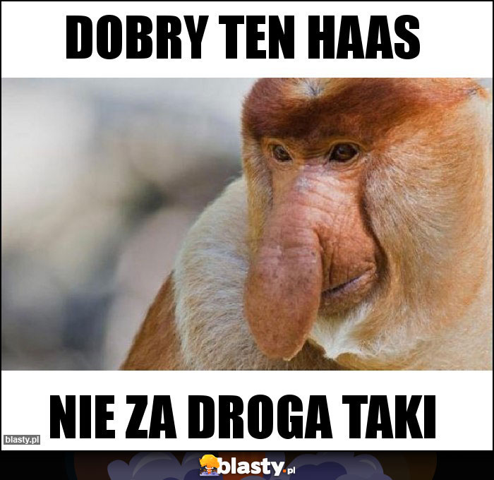 Dobry ten Haas