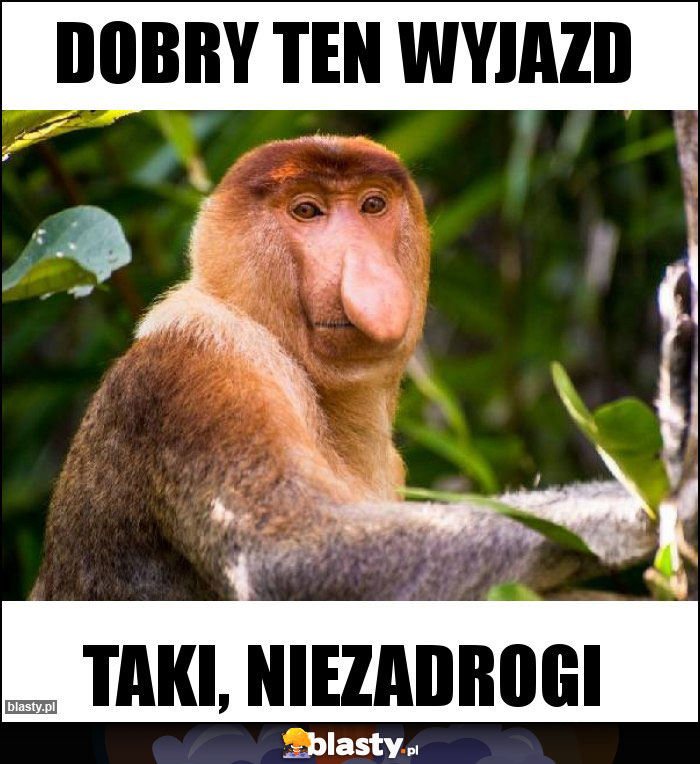 Dobry ten wyjazd