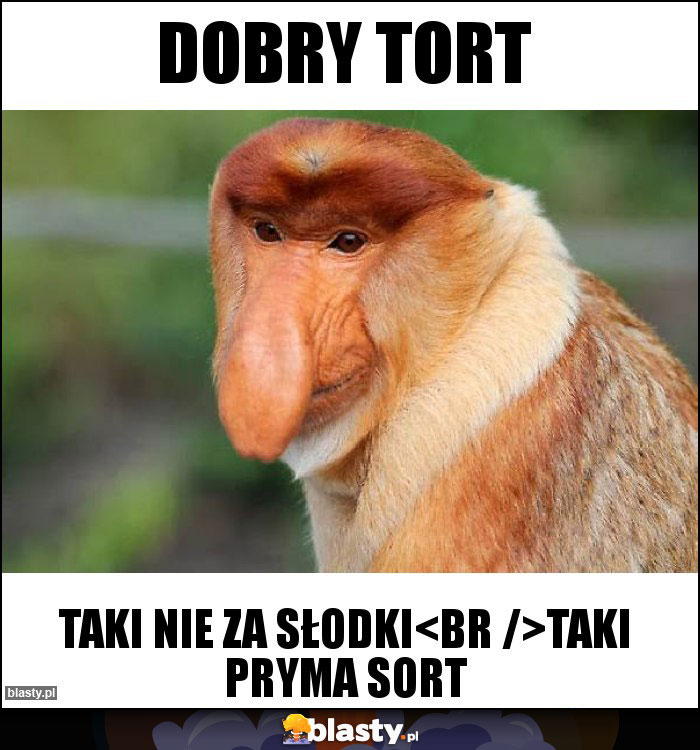 Dobry tort