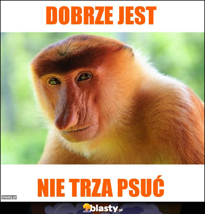 Dobrze jest