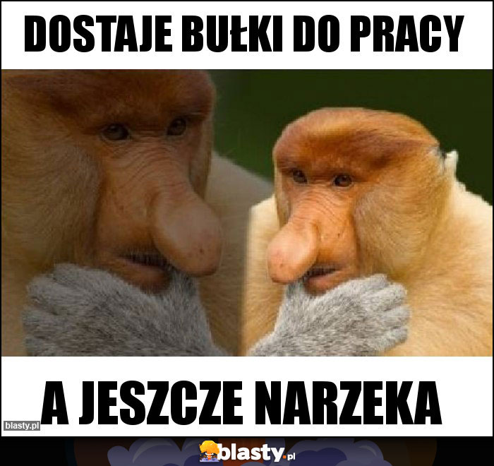 DOSTAJE BUŁKI DO PRACY