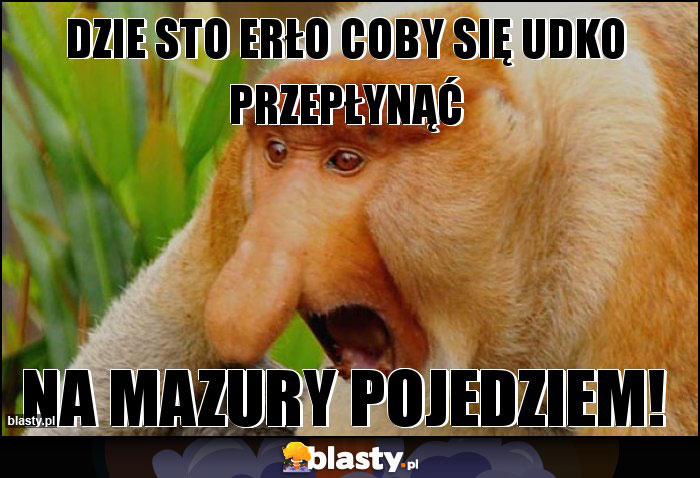 Dzie sto erło coby się udko przepłynąć