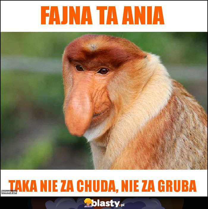 FAJNA TA ANIA