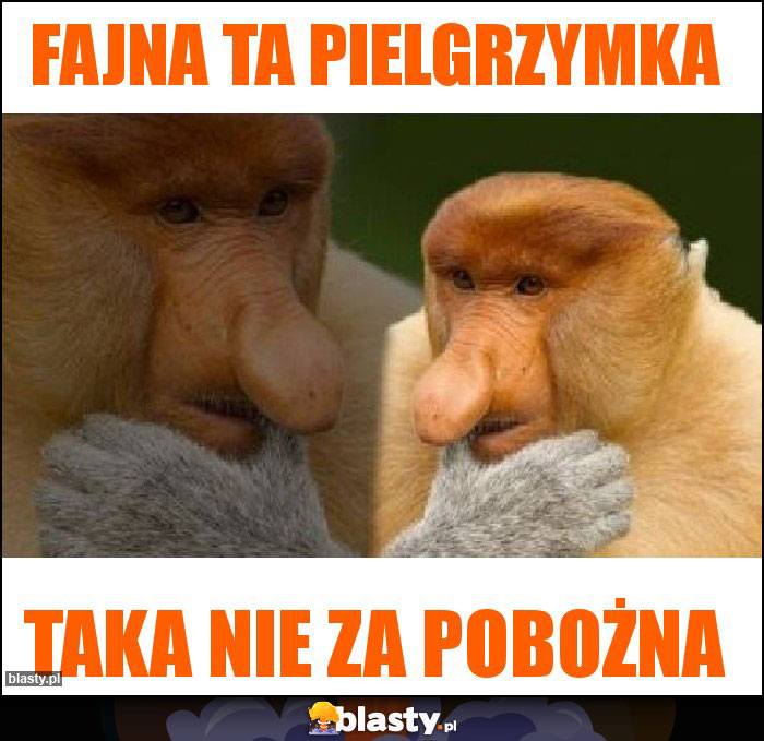 Fajna ta pielgrzymka