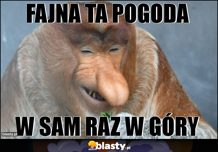 Fajna ta pogoda