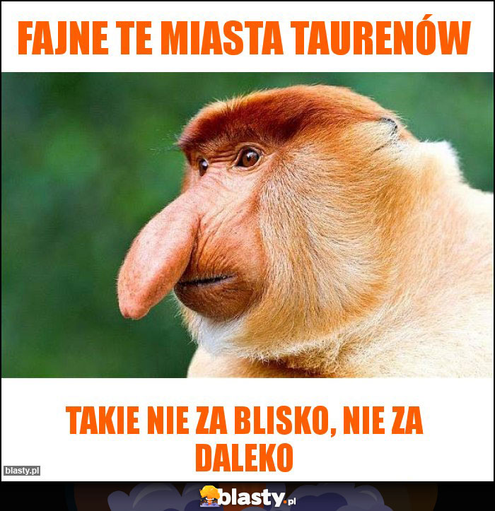 Fajne te miasta Taurenów