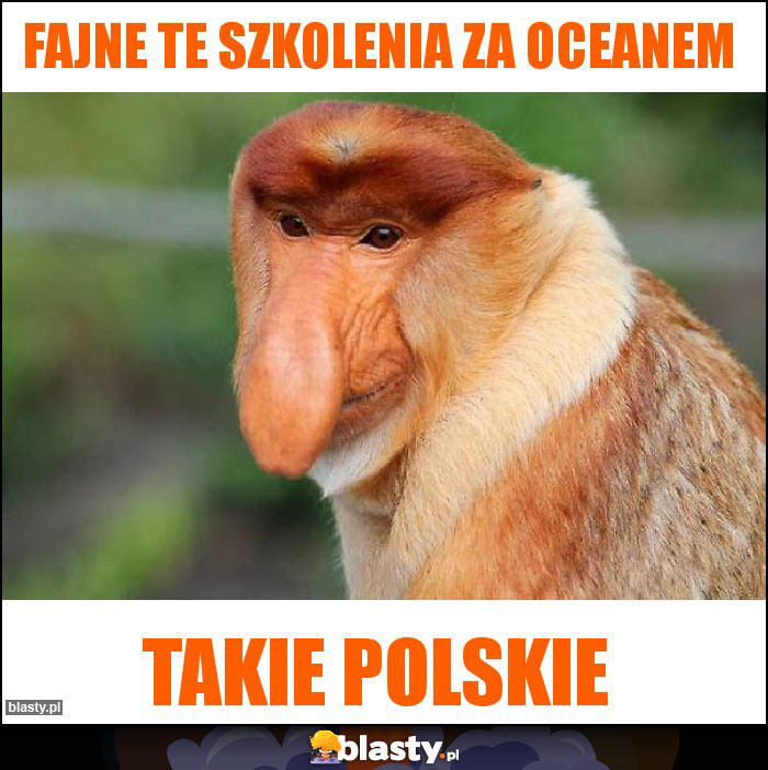 Fajne te szkolenia za oceanem