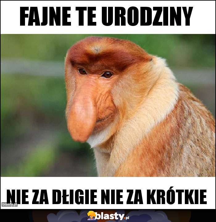 Fajne te urodziny