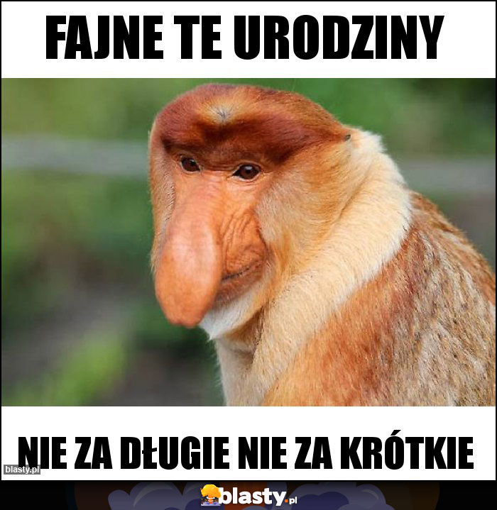 Fajne te urodziny