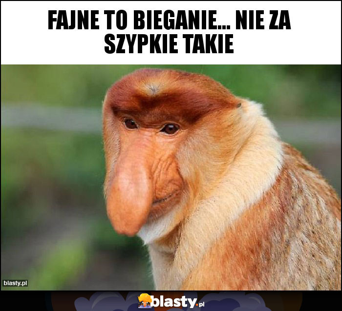 Fajne to bieganie... nie za szypkie takie