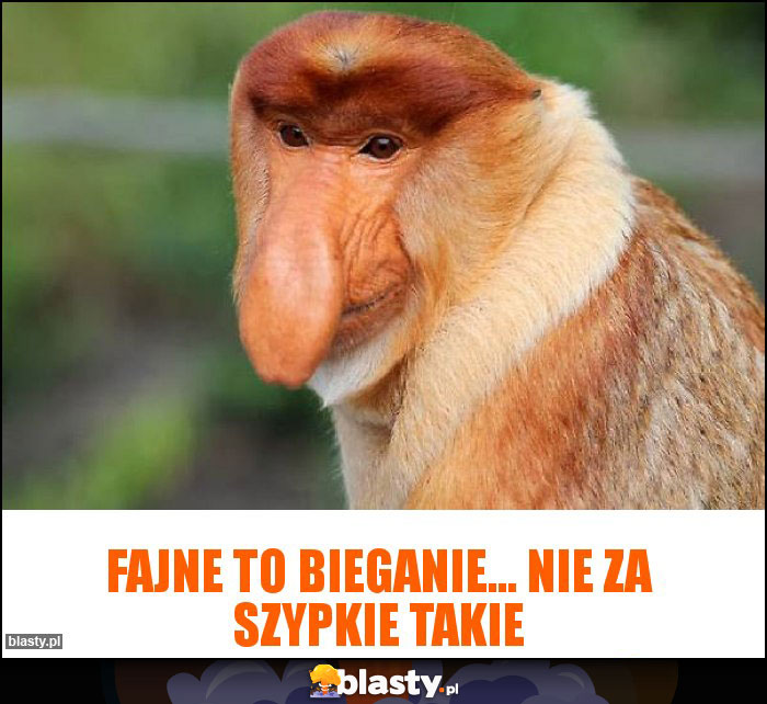 Fajne to bieganie... nie za szypkie takie