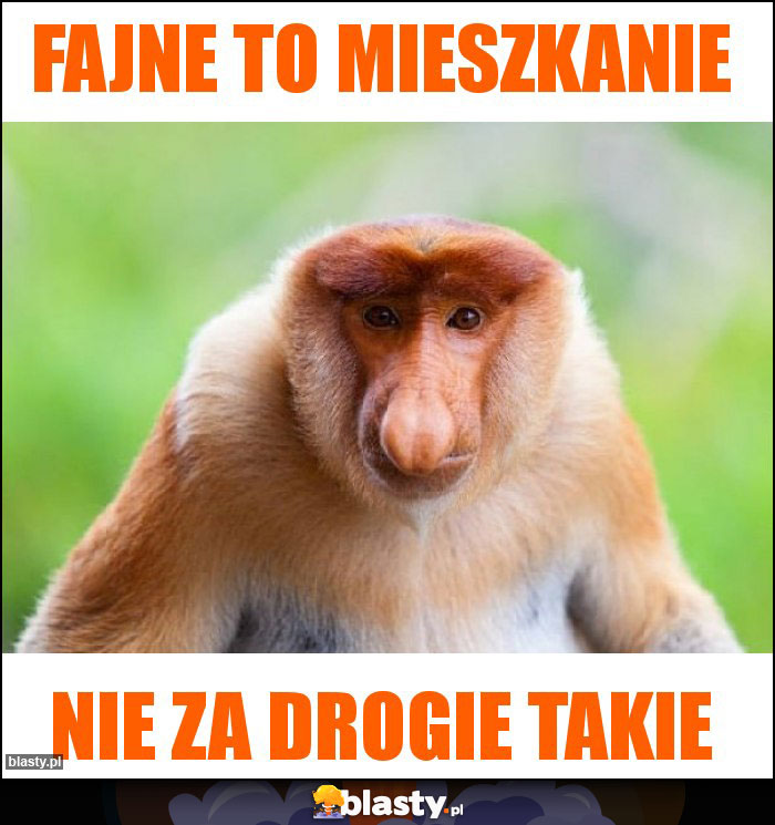 FAJNE TO MIESZKANIE