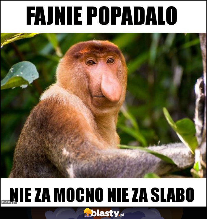 Fajnie popadalo