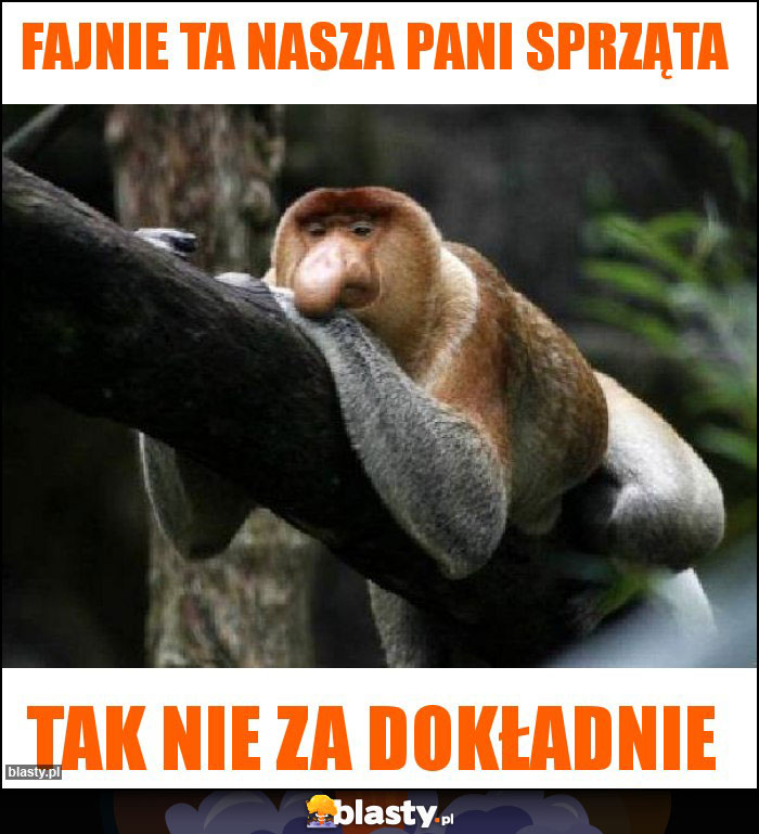 Fajnie ta nasza pani sprząta