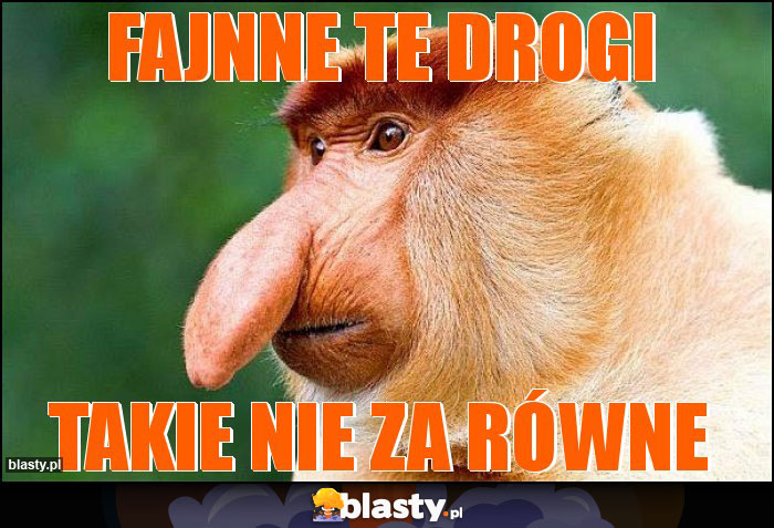 Fajnne te drogi