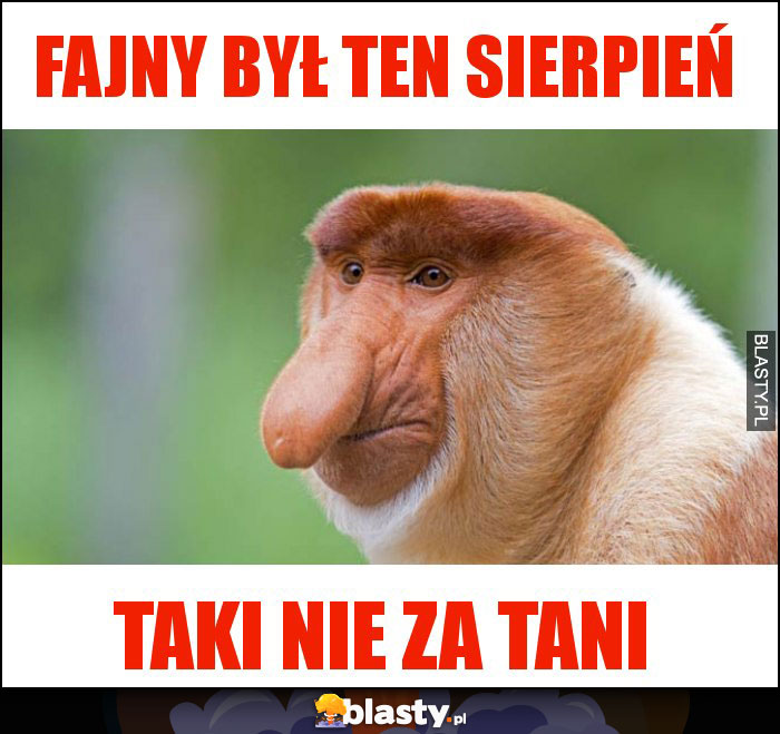 FAJNY BYŁ TEN SIERPIEŃ