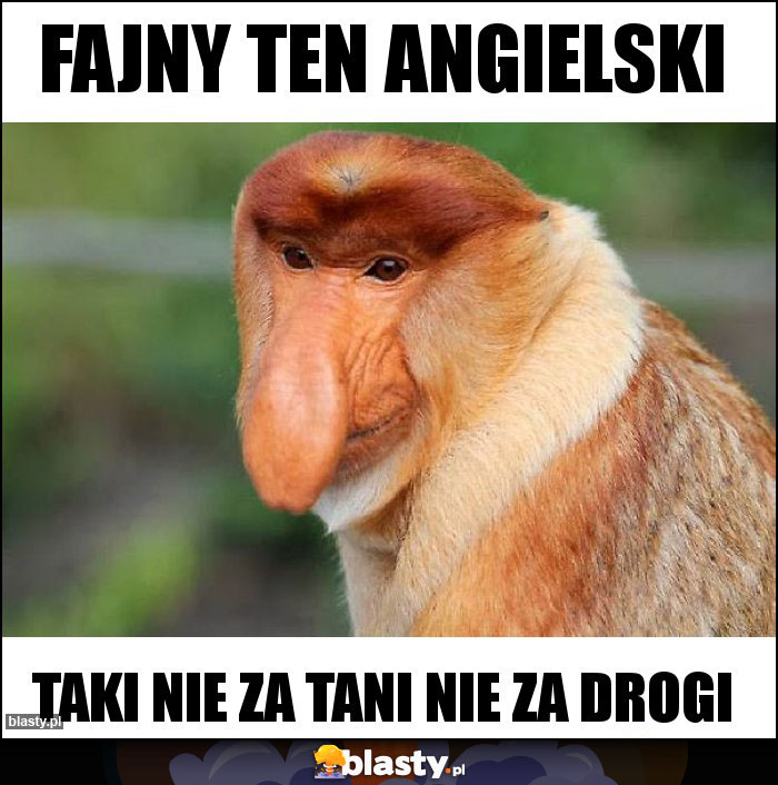 FAJNY TEN ANGIELSKI