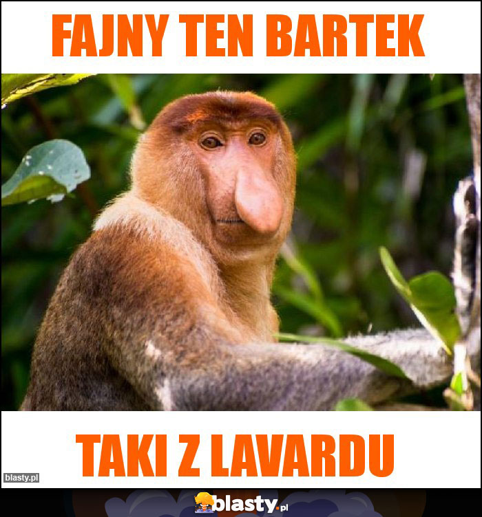 Fajny ten bartek