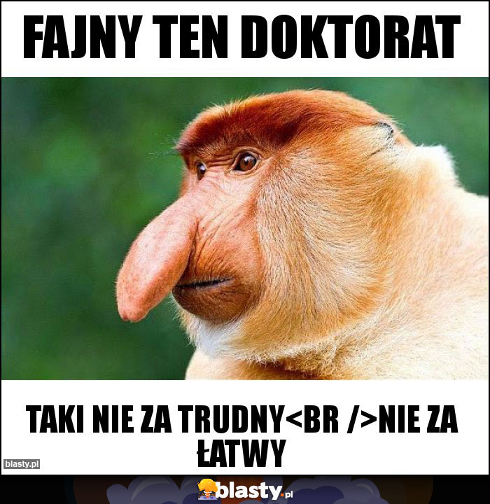 Fajny ten doktorat