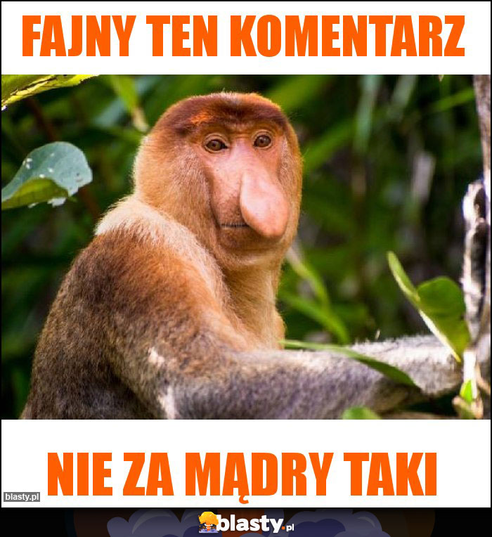 Fajny ten komentarz