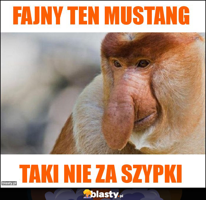 Fajny ten mustang