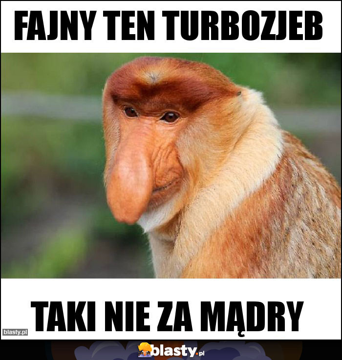 Fajny ten TurboZjeb