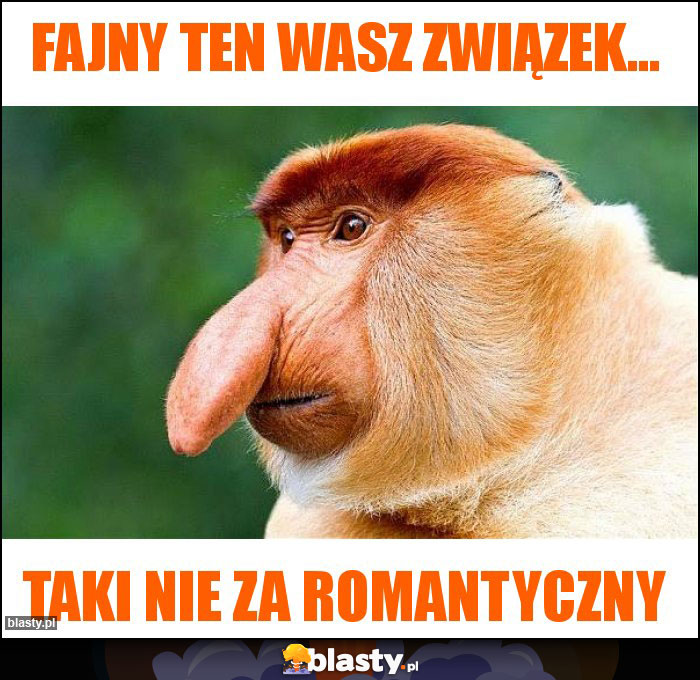 Fajny ten wasz związek...