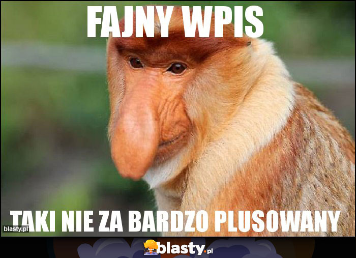 Fajny wpis