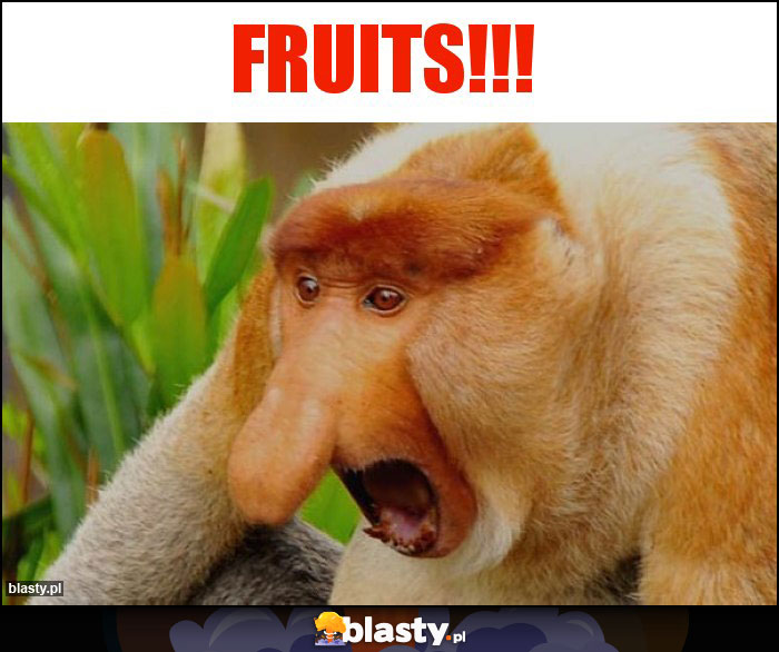 FRUITS!!!