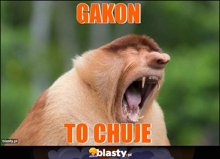 GAKON