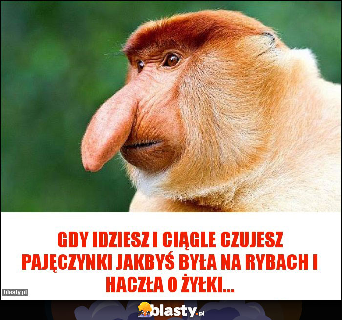 Gdy idziesz i ciągle czujesz pajęczynki jakbyś była na rybach i haczła o żyłki...