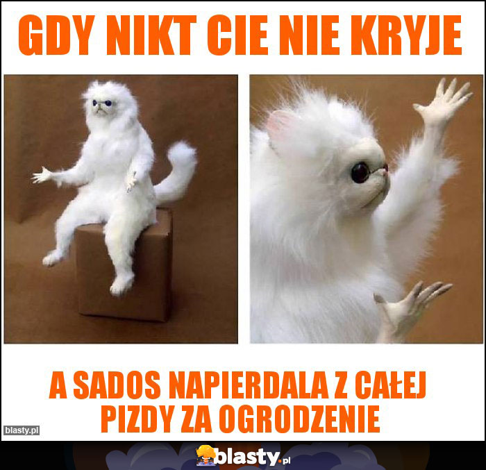 Gdy nikt Cie nie kryje