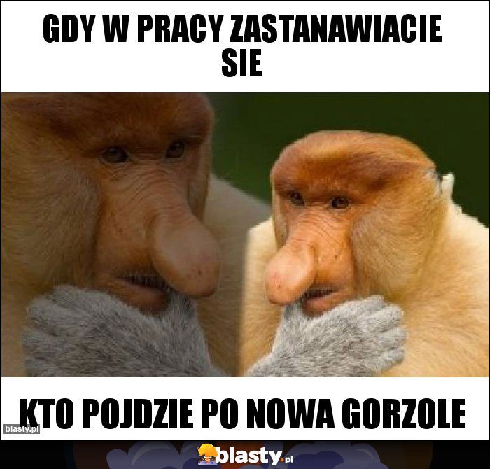 Gdy w pracy zastanawiacie sie