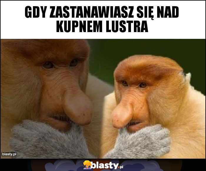 Gdy zastanawiasz się nad kupnem lustra