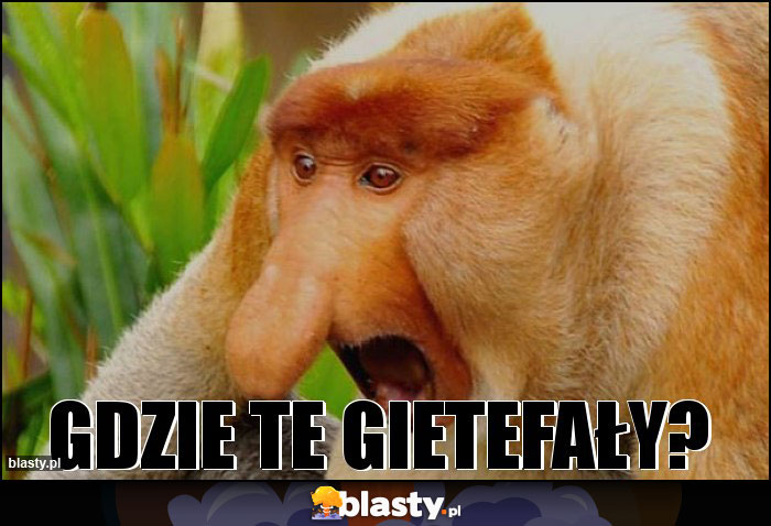 GDZIE TE GIETEFAŁY?