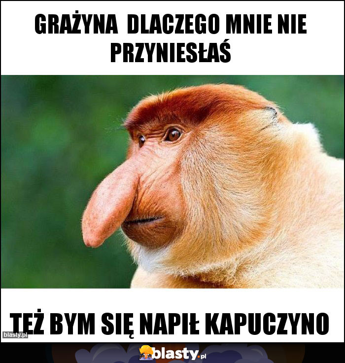 Grażyna  dlaczego mnie nie przyniesłaś