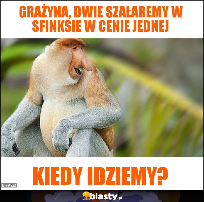 Grażyna, dwie szałaremy w sfinksie w cenie jednej