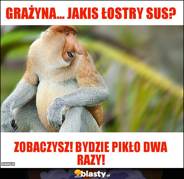 Grażyna... Jakis łostry sus?