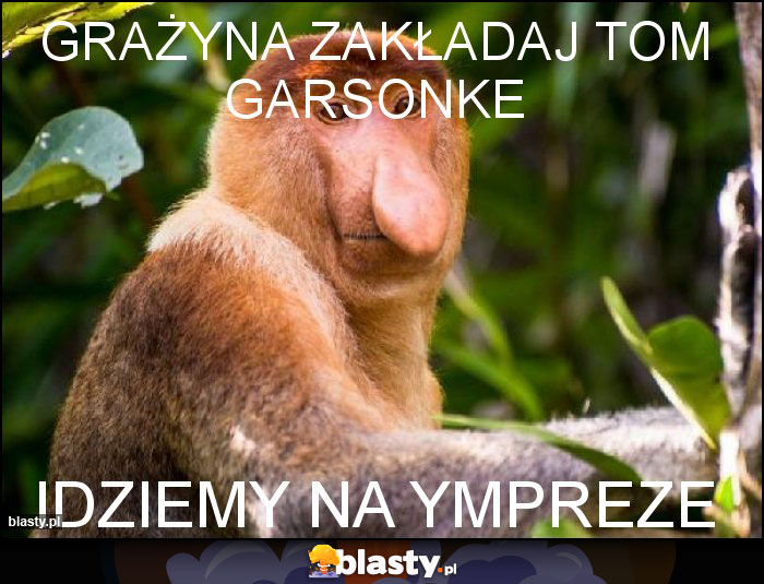 Grażyna zakładaj tom garsonke