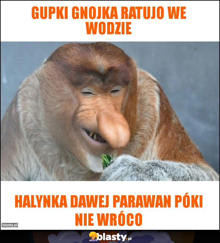 gupki gnojka ratujo we wodzie