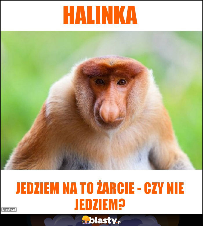 Halinka