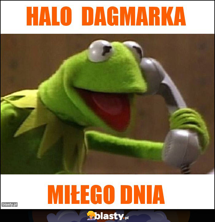 HALO  DAGMARKA